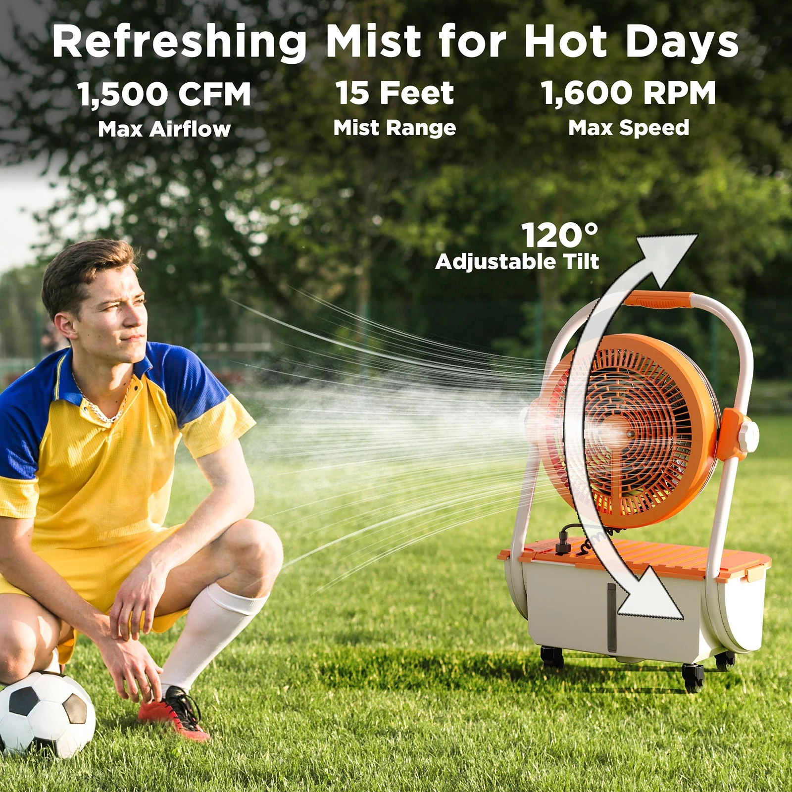 Thumbnail 13